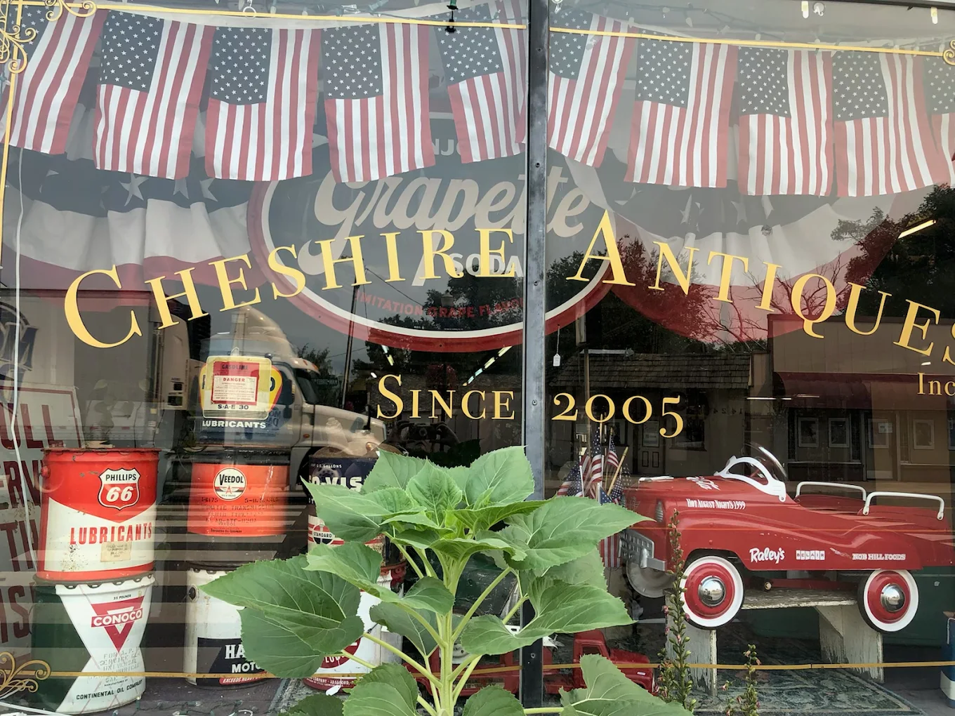 A window display with American flags and vintage decorations.